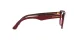 Dolce & Gabbana DG 3360 3247