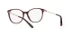 Dolce & Gabbana DG 3363 3091