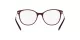 Dolce & Gabbana DG 3363 3091
