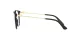 Dolce & Gabbana DG 3363 501