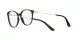 Dolce & Gabbana DG 3363 501