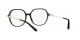 Dolce & Gabbana DG 3364 501