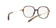 Dolce & Gabbana DG 3364 502