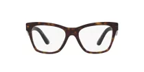 Dolce & Gabbana DG 3374 502