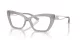 Dolce & Gabbana DG 3375B 3421