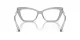 Dolce & Gabbana DG 3375B 3421