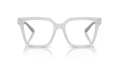 Dolce & Gabbana DG 3376B 3420