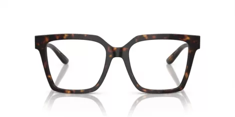 Dolce & Gabbana DG 3376B 502