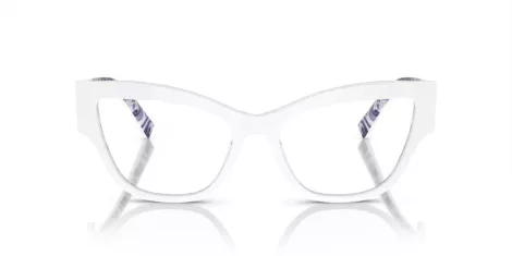 Dolce & Gabbana DG 3378 3371