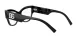 Dolce & Gabbana DG 3378 501