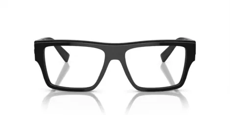 Dolce & Gabbana DG 3382 501