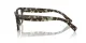 Dolce & Gabbana DG 3383 3432