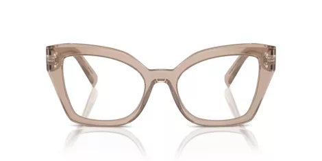 Dolce & Gabbana DG 3386 3432