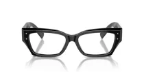 Dolce & Gabbana DG 3387 501