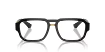 Dolce & Gabbana DG 3389 501
