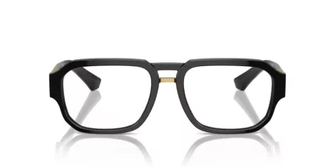 Dolce & Gabbana DG 3389 501