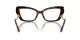 Dolce & Gabbana DG 3391B 502