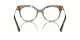 Dolce & Gabbana DG 3392 3217