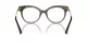 Dolce & Gabbana DG 3392 3299