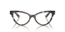 Dolce & Gabbana DG 3394 3438