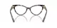Dolce & Gabbana DG 3394 3438