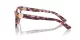 Dolce & Gabbana DG 3394 3440