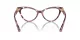 Dolce & Gabbana DG 3394 3440