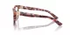 Dolce & Gabbana DG 3395 3440