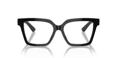 Dolce & Gabbana DG 3395 501