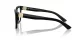 Dolce & Gabbana DG 3395 501