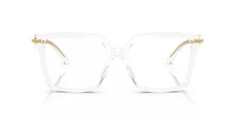 Dolce & Gabbana DG 3397 3133
