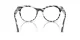 Dolce & Gabbana DG 3399 3372