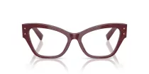 Dolce & Gabbana DG 3404 3442