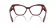 Dolce & Gabbana DG 3404 3442