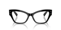 Dolce & Gabbana DG 3404 501