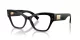 Dolce & Gabbana DG 3404 501
