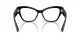 Dolce & Gabbana DG 3404 501