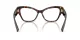 Dolce & Gabbana DG 3404 502