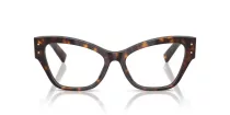 Dolce & Gabbana DG 3404 502