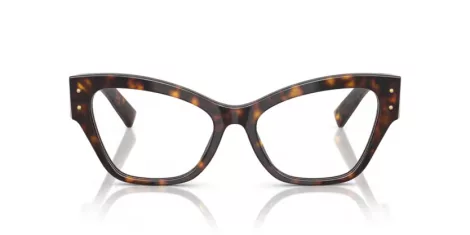 Dolce & Gabbana DG 3404 502