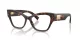 Dolce & Gabbana DG 3404 502
