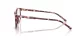 Dolce & Gabbana DG 3424 3440