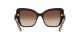 Dolce & Gabbana DG 4348 3163/13 Női napszemüveg