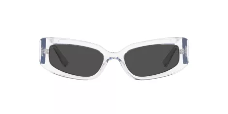 Dolce & Gabbana DG 4445 313387