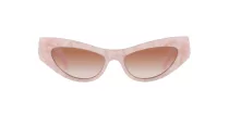 Dolce & Gabbana DG 4450 323113