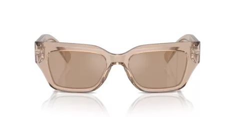 Dolce & Gabbana DG 4462 34325A