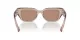 Dolce & Gabbana DG 4462 34325A