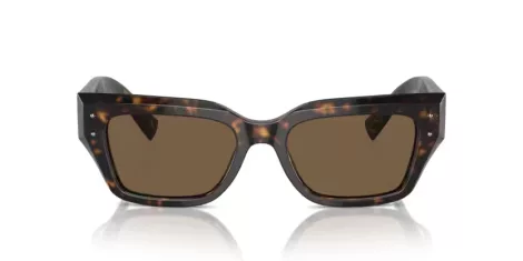 Dolce & Gabbana DG 4462 502/73