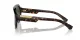 Dolce & Gabbana DG 4466 502/71