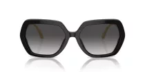 Dolce & Gabbana DG 4468B 501/8G